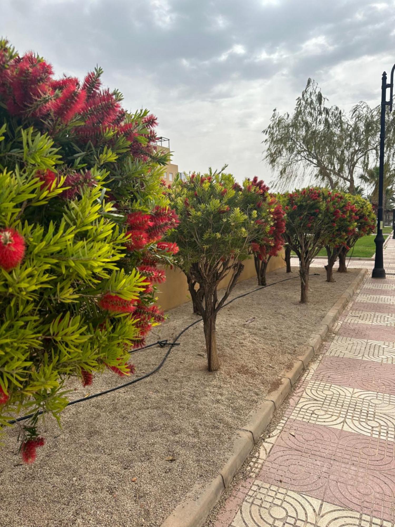 Aguadulce Sol Y Playa- A/c Apartament *